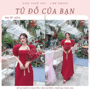 Áo Dài - AD14