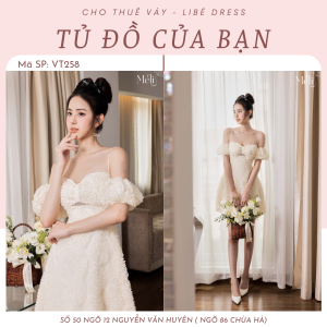 Váy Tiệc - VT258