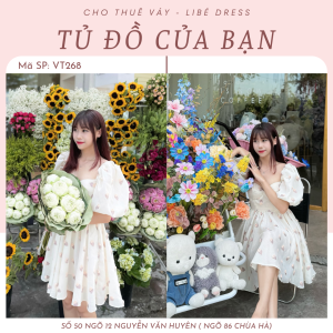 Váy Tiệc - VT268