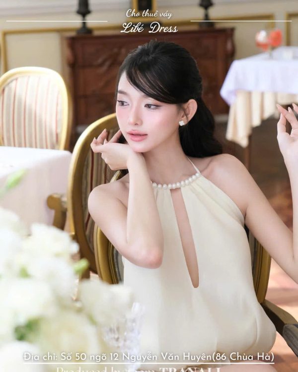 Váy Tiệc - VT364