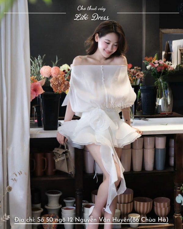 Váy Tiệc - VT403
