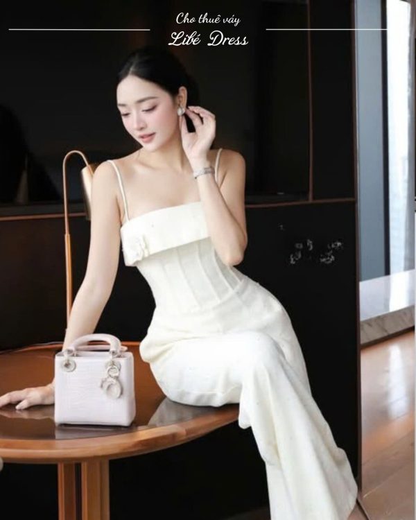 Váy Tiệc -VT480