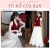 Váy Tiệc - VT453
