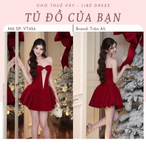 Váy Tiệc - VT454