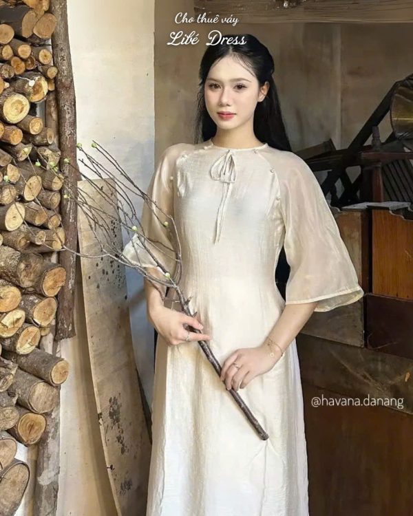 Áo Dài - AD194