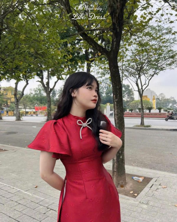 Áo Dài - AD211