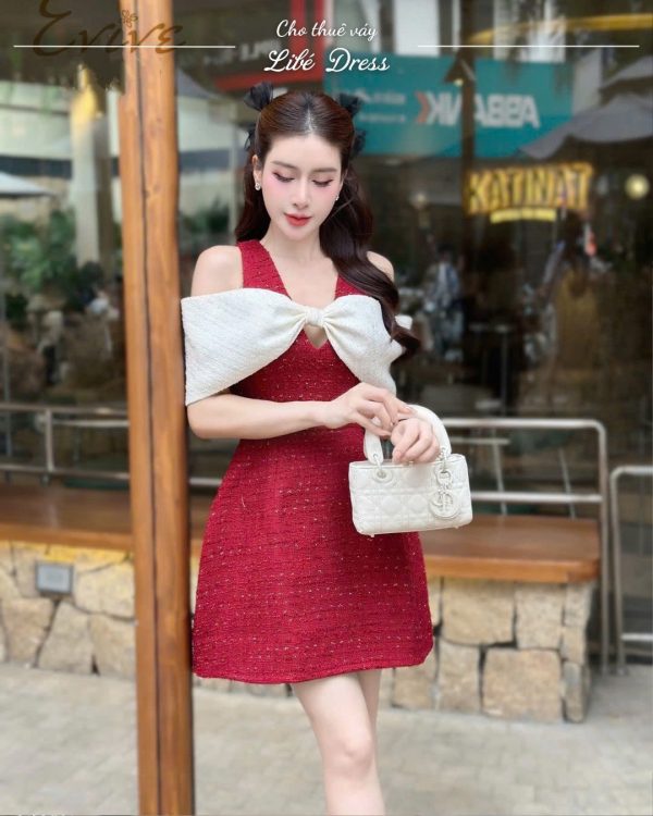 Váy Tiệc - VT503