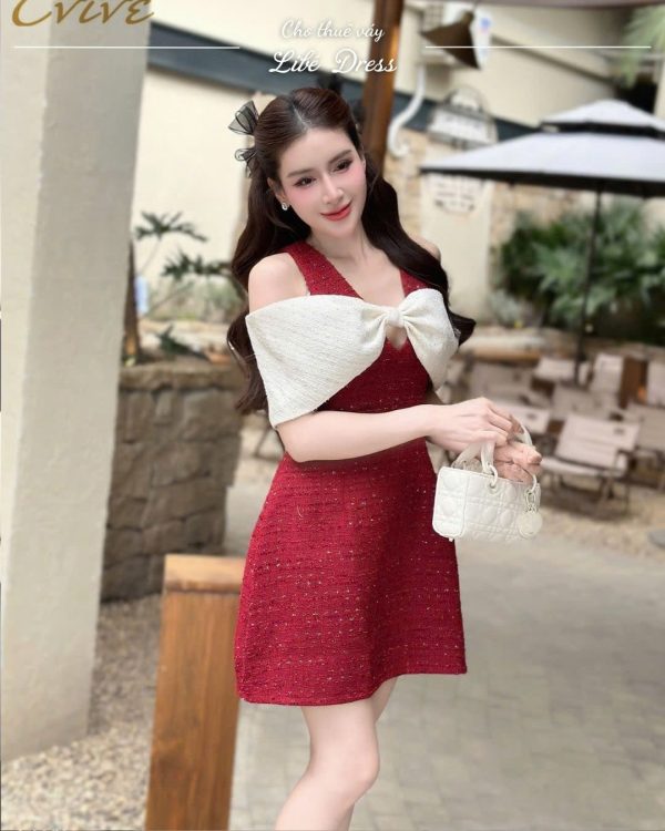 Váy Tiệc - VT503