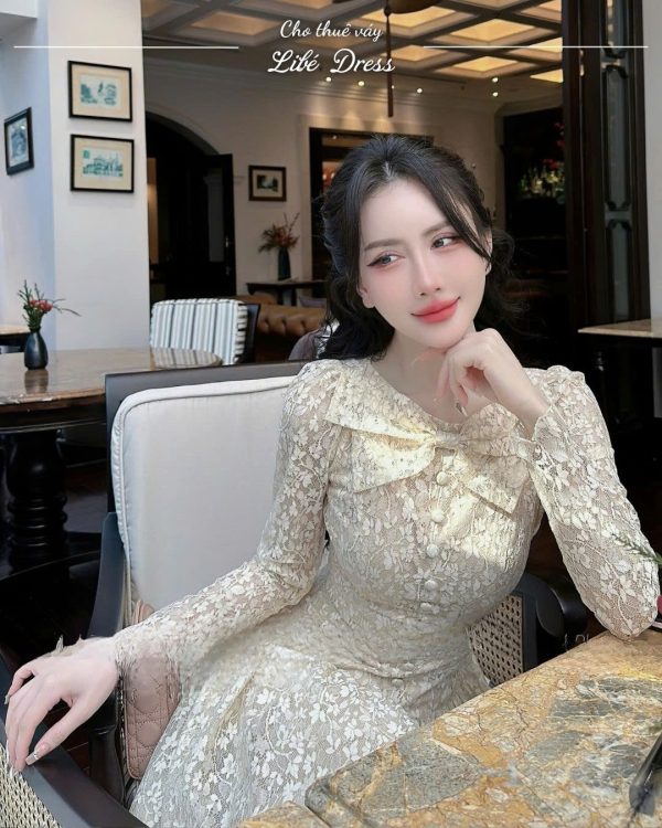 Váy Tiệc - VT502