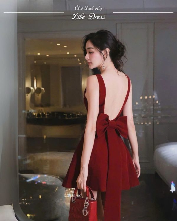 Váy Tiệc - VT494