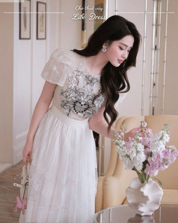Váy Tiệc - VT493