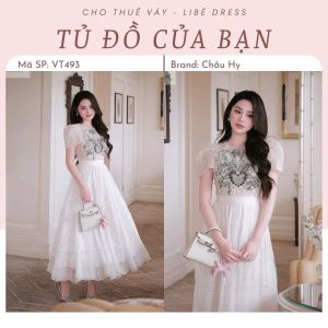 Váy Tiệc - VT493