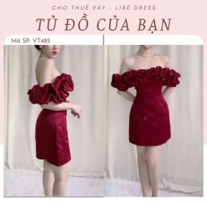 Váy Tiệc - VT485