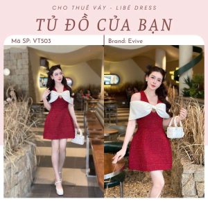 Váy Tiệc - VT503