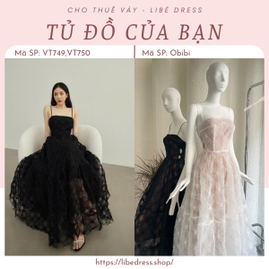 Váy tiệc- VT749,VT750
