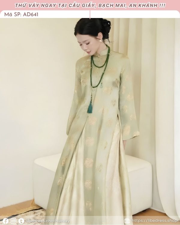 Áo Dài - AD641